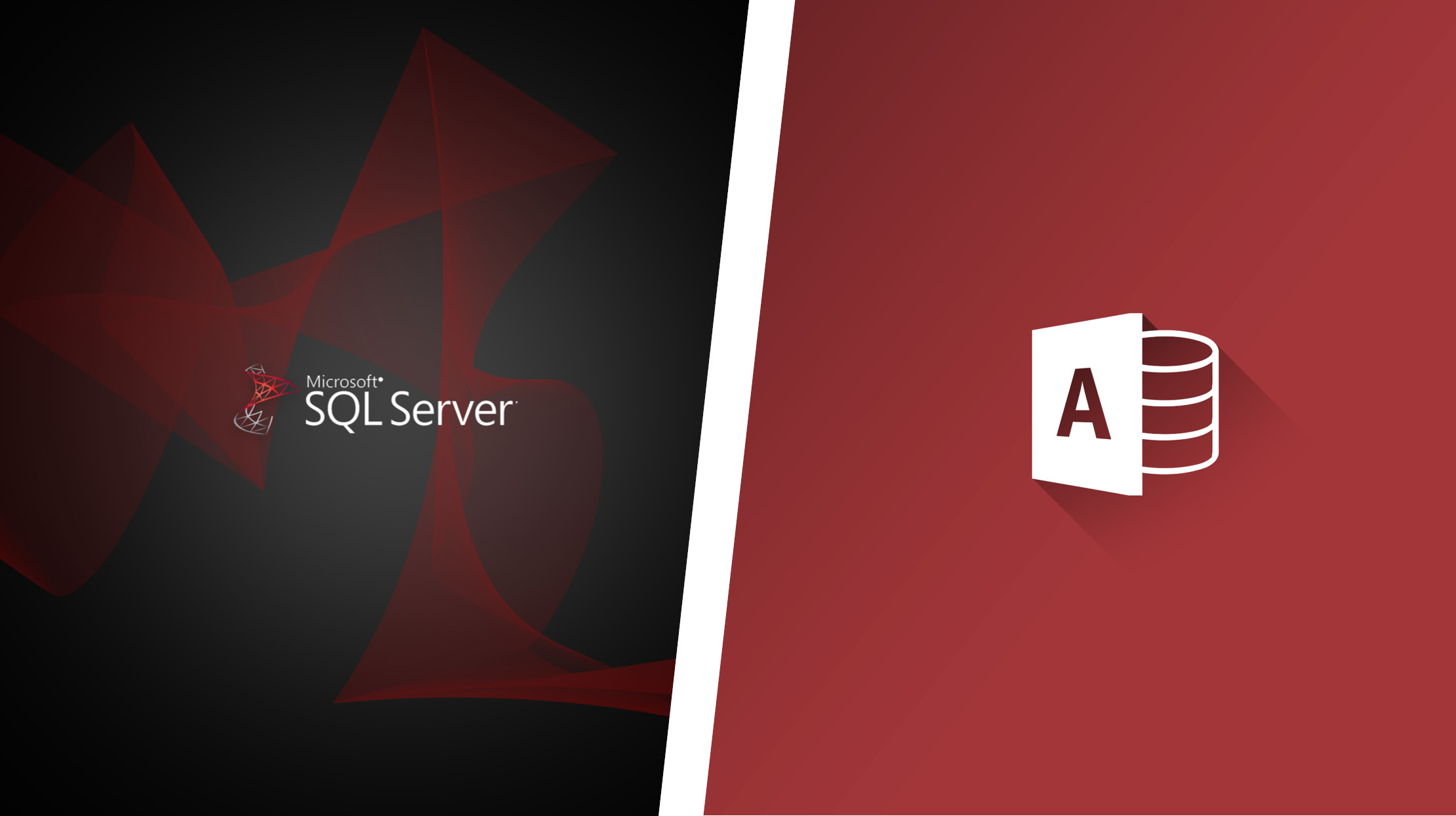 SQL Server og Access er begge udviklet af Microsoft, og er begge relationelle databasesystemer.